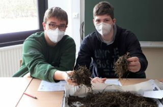 Silagebeurteilung Silagebeurteilung