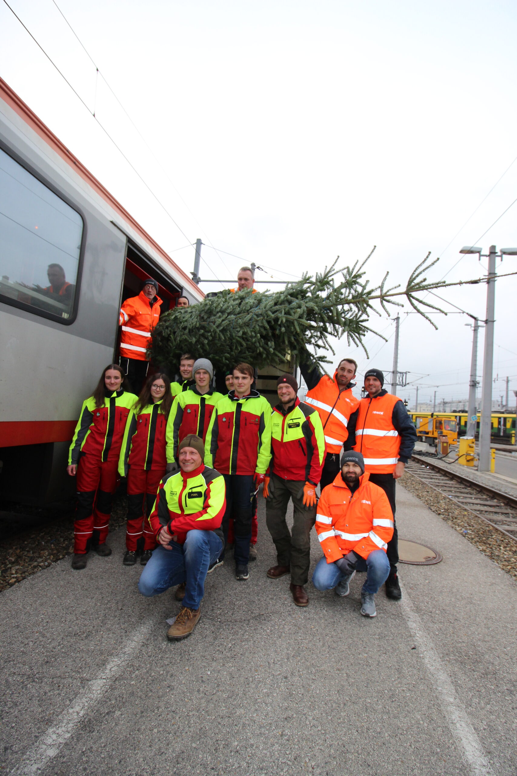 Tanne aus der LFS Pyhra wird Weihnachtsdekoration im EU-Parlament