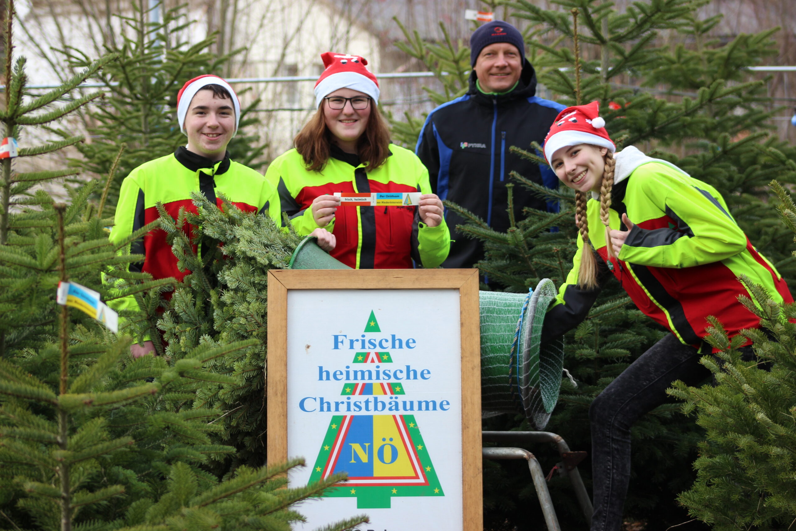 Christbäume von der LFS Pyhra – stimmungsvoll in die Vorweihnachtszeit