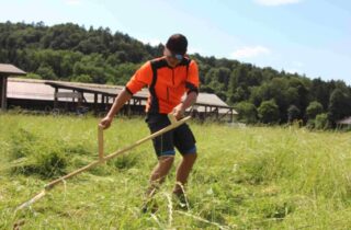 Sensenschärfen und professionelles Mähen: Ein lehrreicher Workshop zum Ausprobieren Sensenschärfen und professionelles Mähen: Ein lehrreicher Workshop zum Ausprobieren