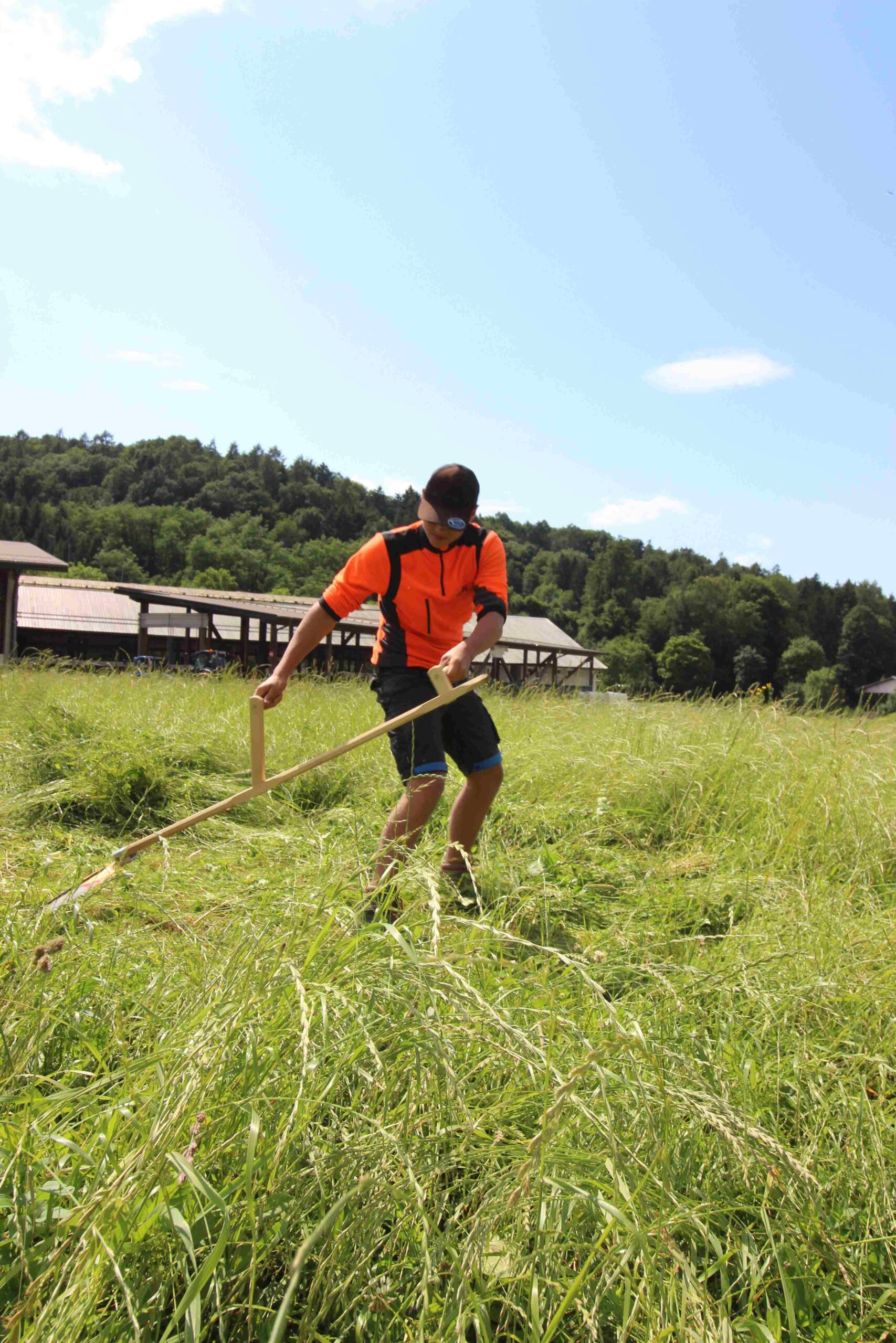 Sensenschärfen und professionelles Mähen: Ein lehrreicher Workshop zum Ausprobieren