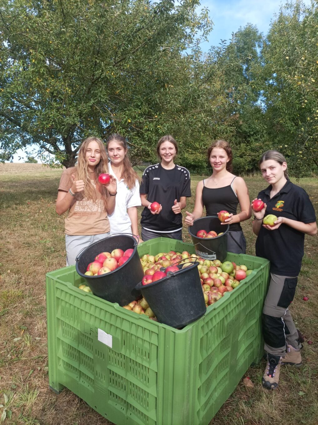 Obsternte 2024 am Bildungszentrum Pyhra