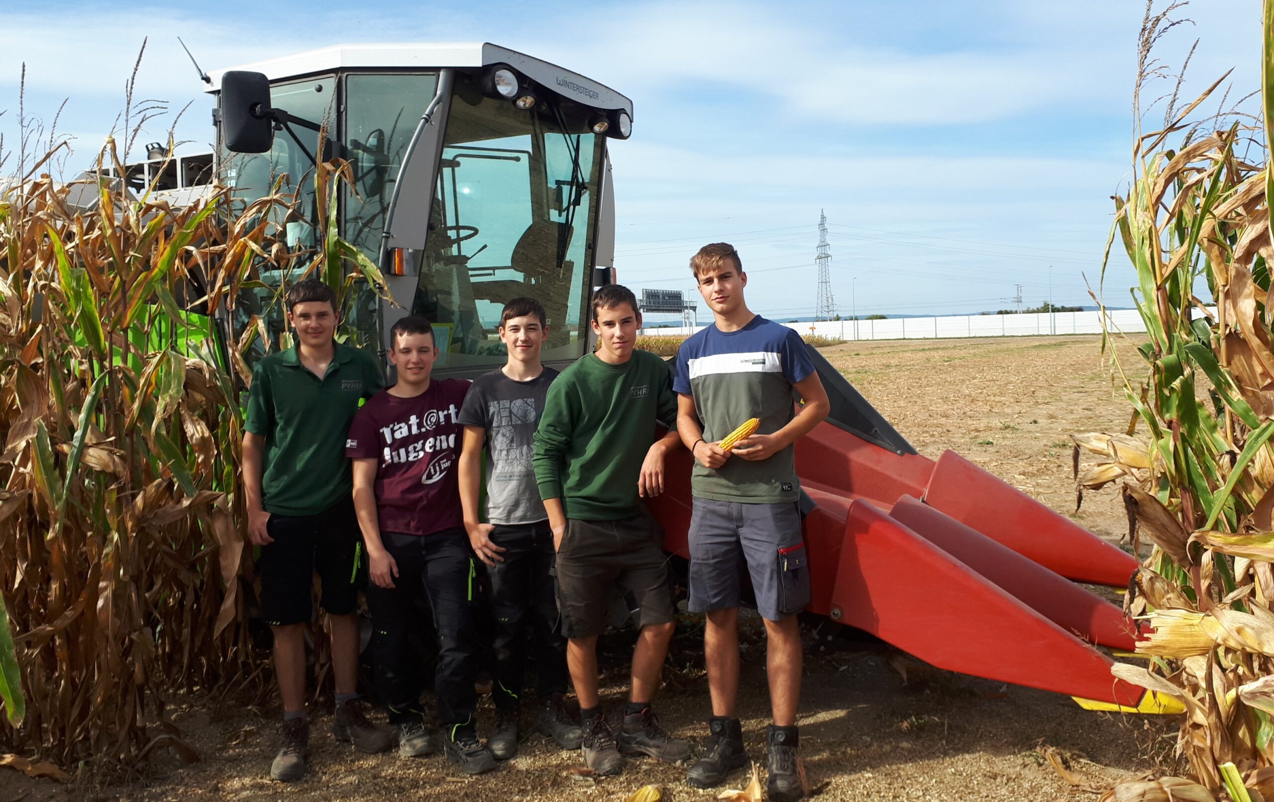 Herbstarbeiten auf den Feldern der Landwirtschaftlichen Fachschule Pyhra