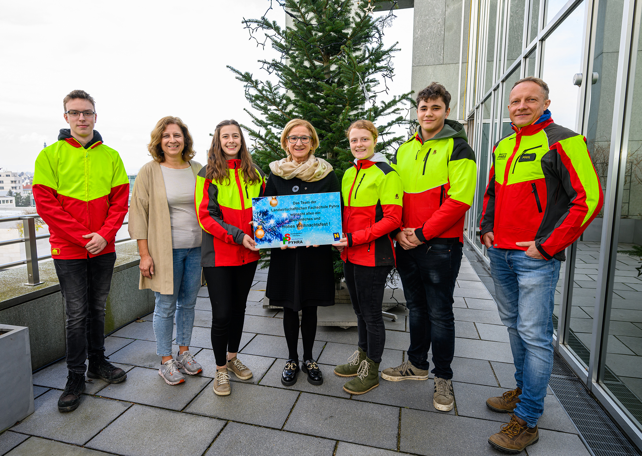 Christbäume der LFS Pyhra für das Landhaus in St. Pölten