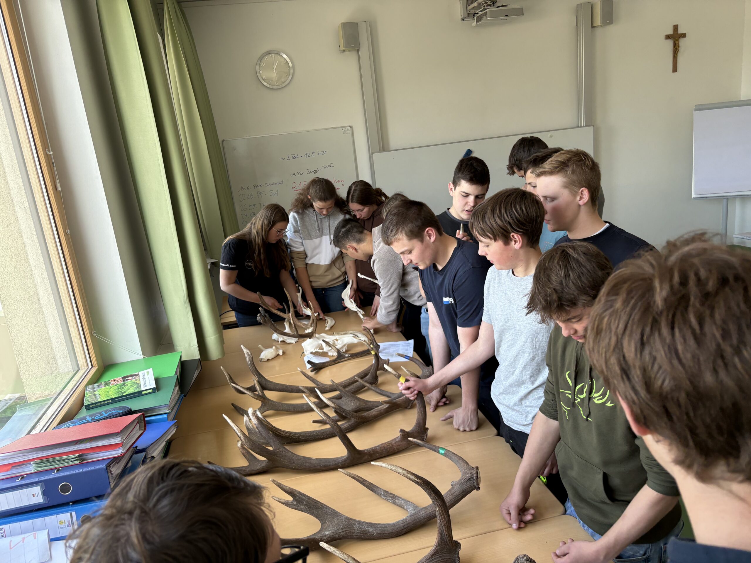 Jagdunterricht in der 2. Klasse: Schalenwild-Wiederholung mit Praxisbezug