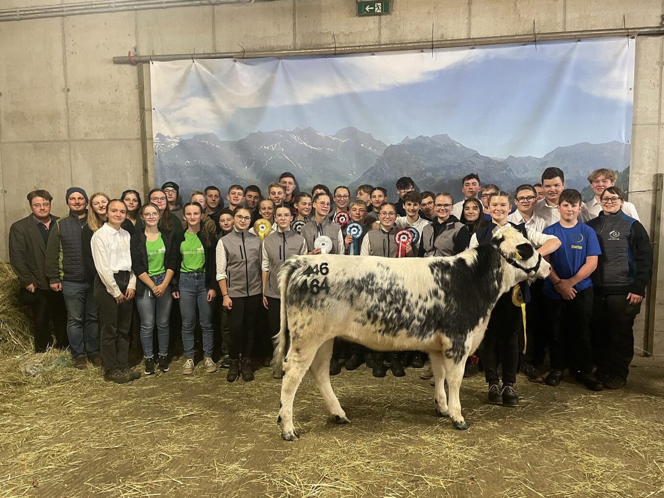 Jungzüchter-Championat und Jubiläumsrinderschau