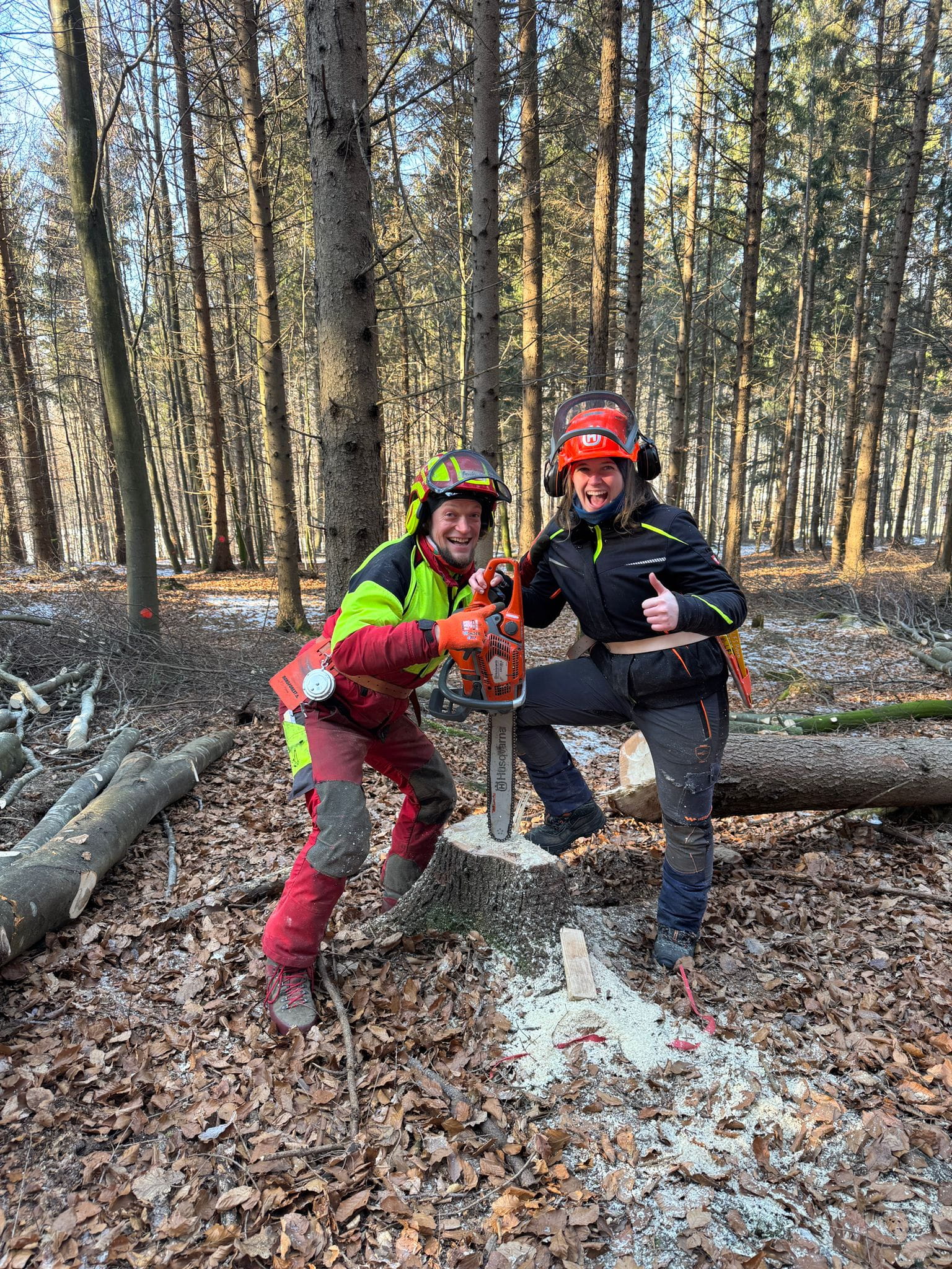 Praxisnaher Unterricht im Lehrforst der LFS Pyhra