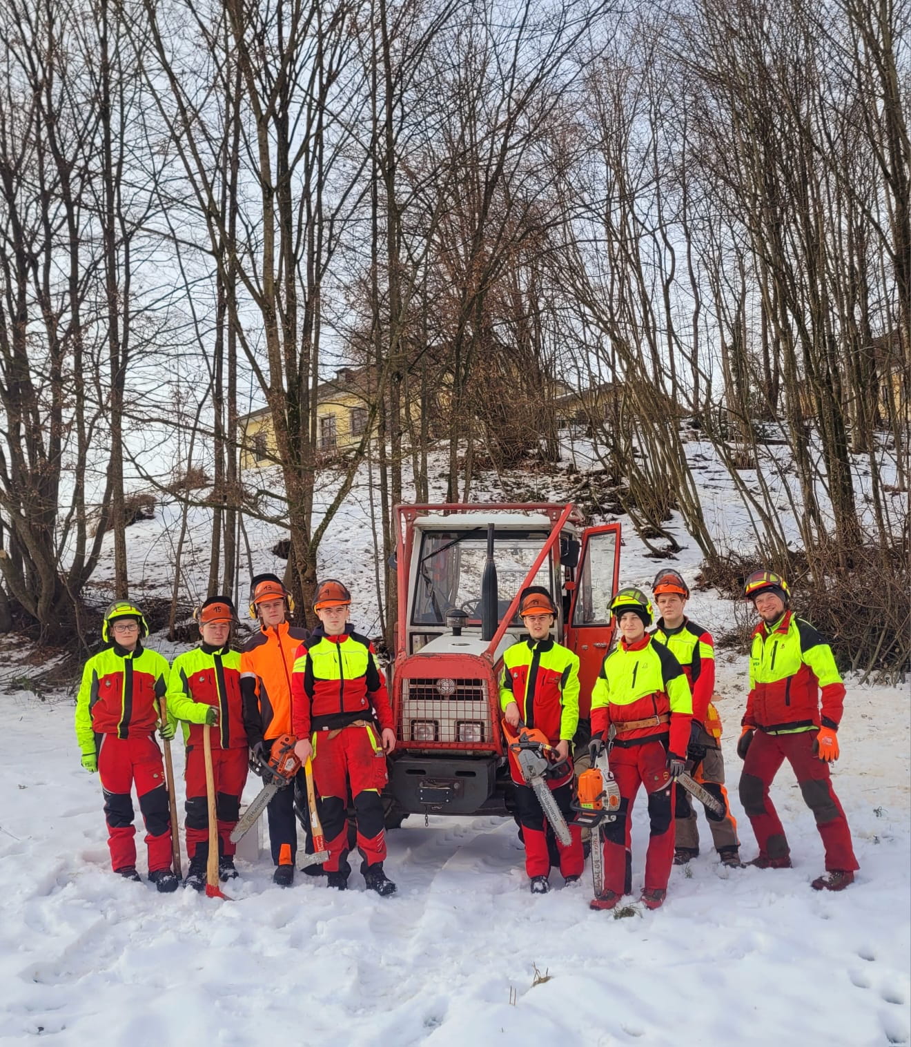 Problembaumfällung im Forst der Landesberufsschule Lilienfeld