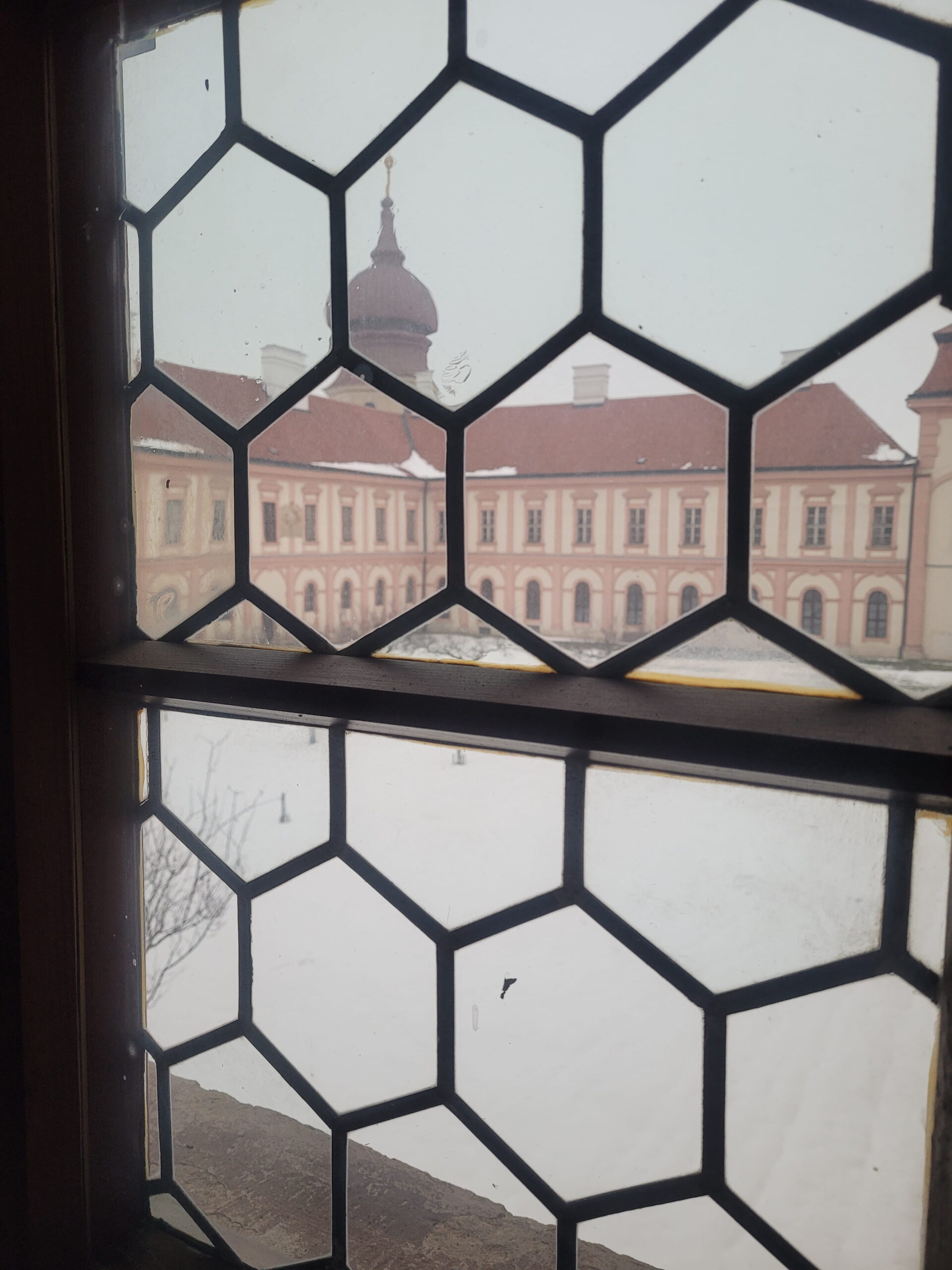 IMG-20260123_155555 IMG-20260123_155555