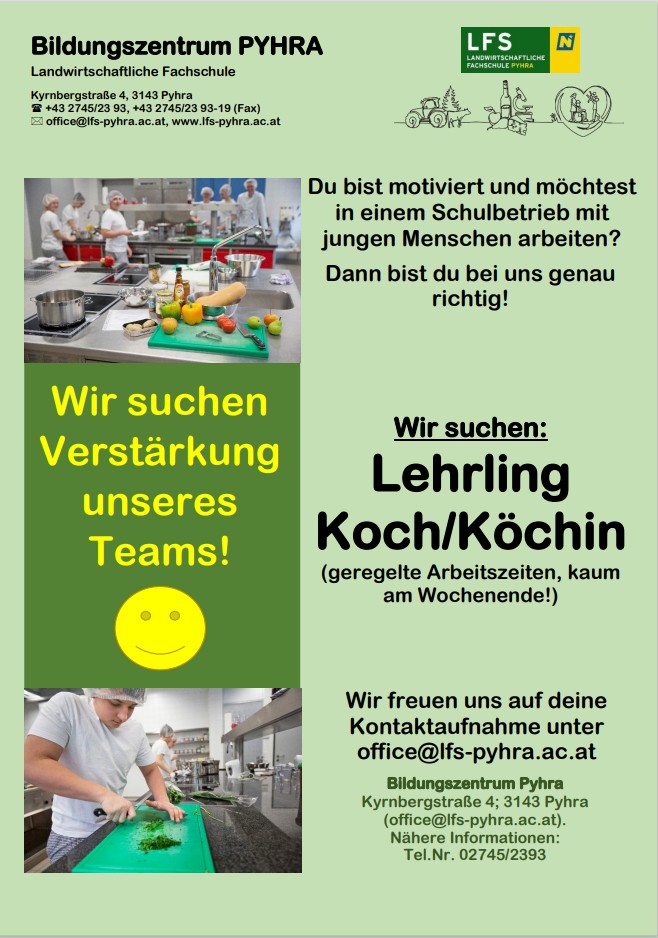 Lehrstelle Koch/Köchin