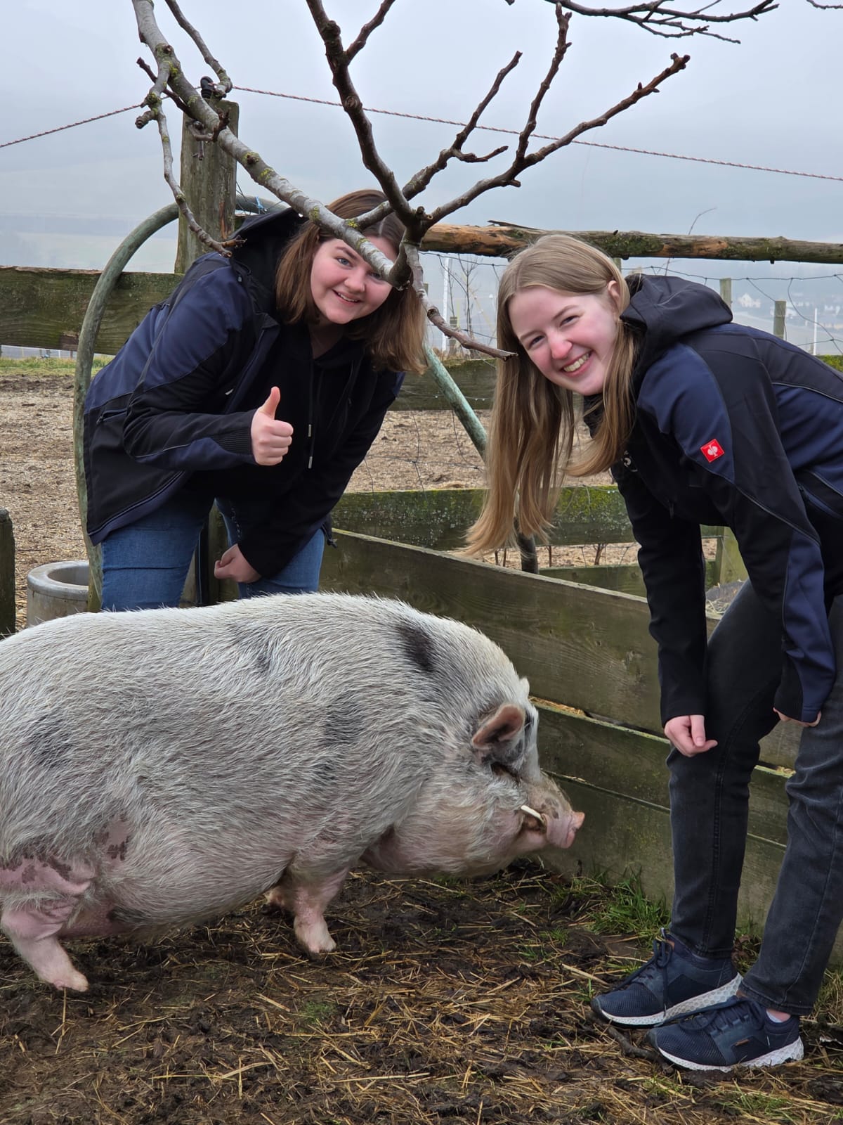 WhatsApp Image 2026-02-19 at 11.52.11