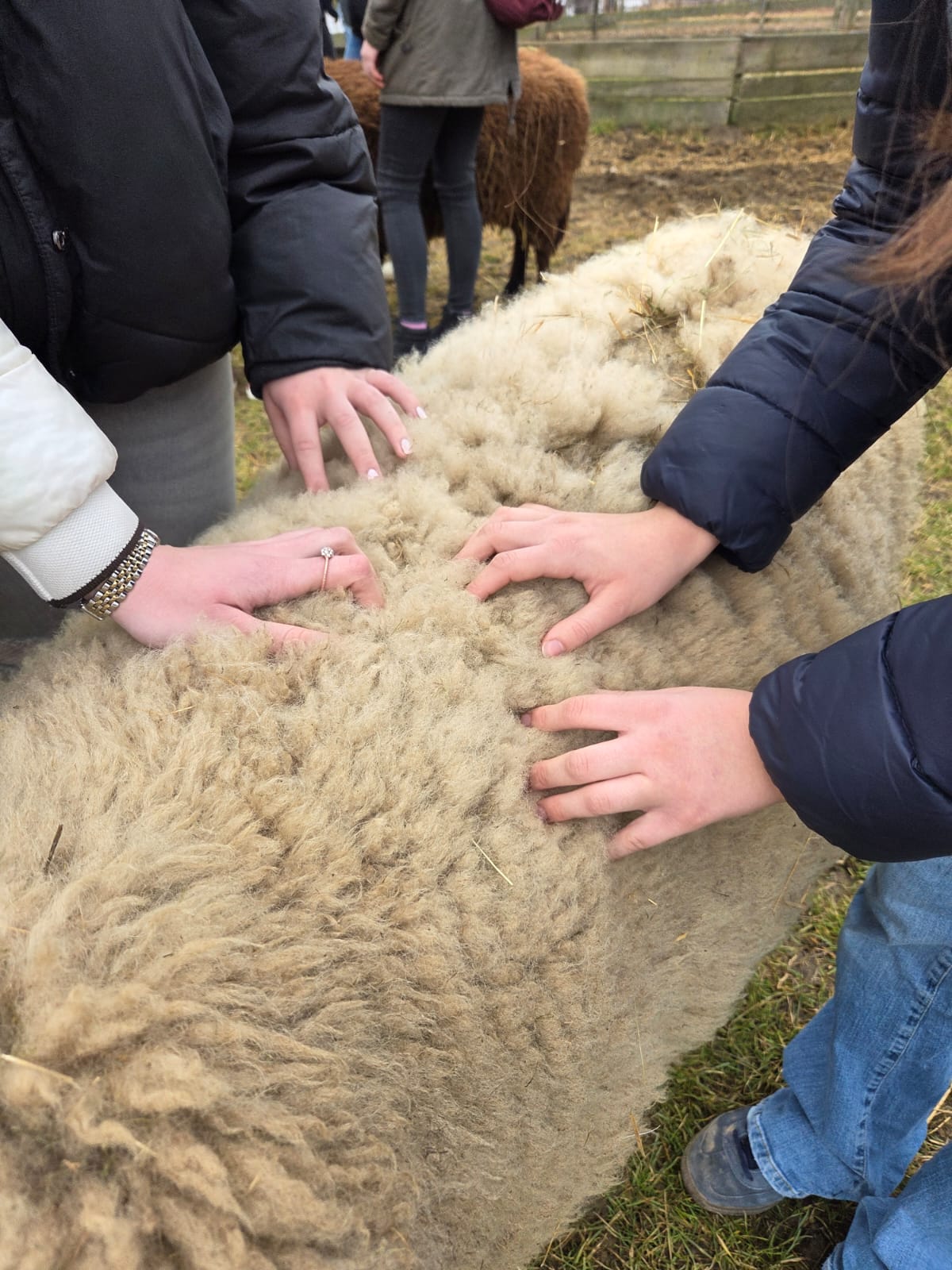 WhatsApp Image 2026-02-19 at 11.52.22