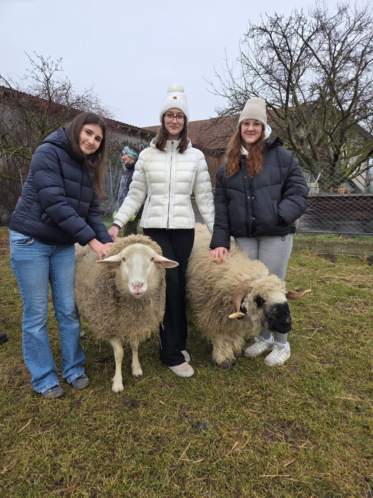 WhatsApp Image 2026-02-19 at 11.52.46