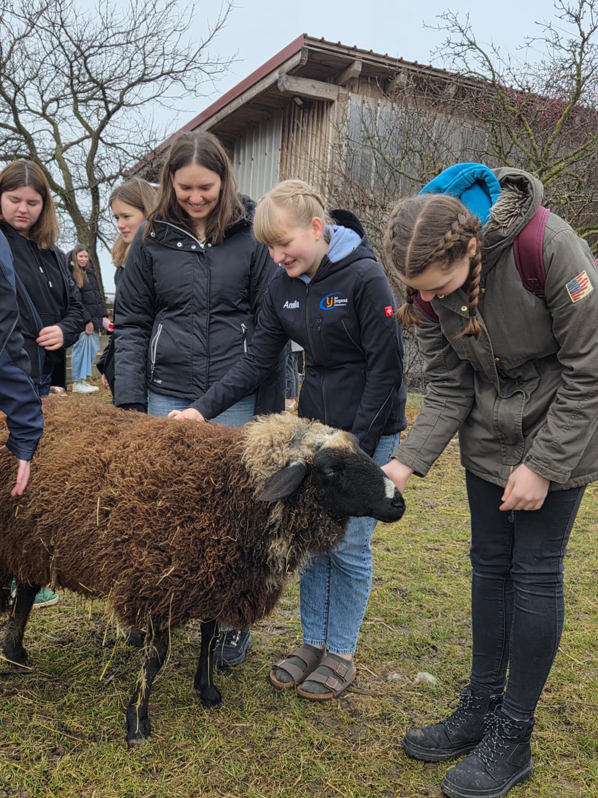 WhatsApp Image 2026-02-19 at 11.52.53