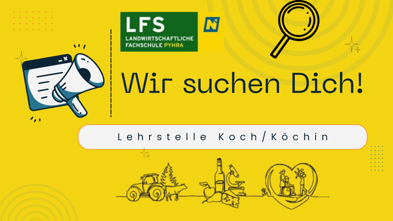 Lehrstelle Koch/Köchin Copy