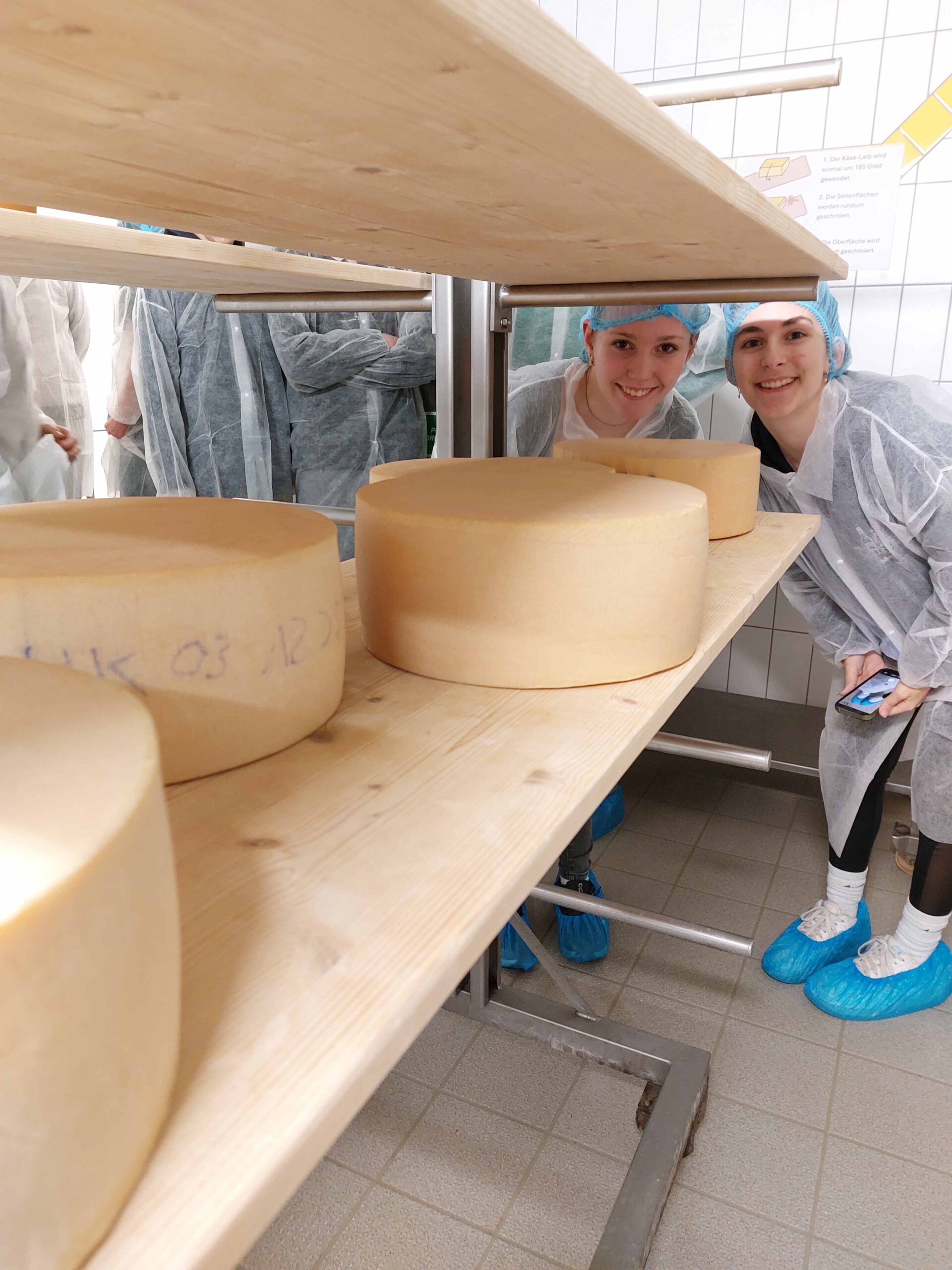 3_Milchwirtschaftlilches Zentrum 2