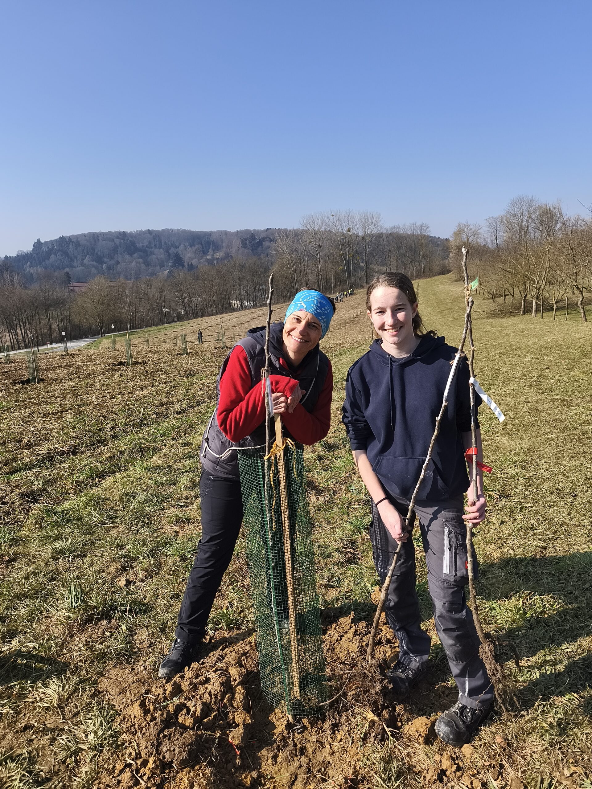 200 Birnbäume für ein Obstbau-Versuchsprojekt gepflanzt