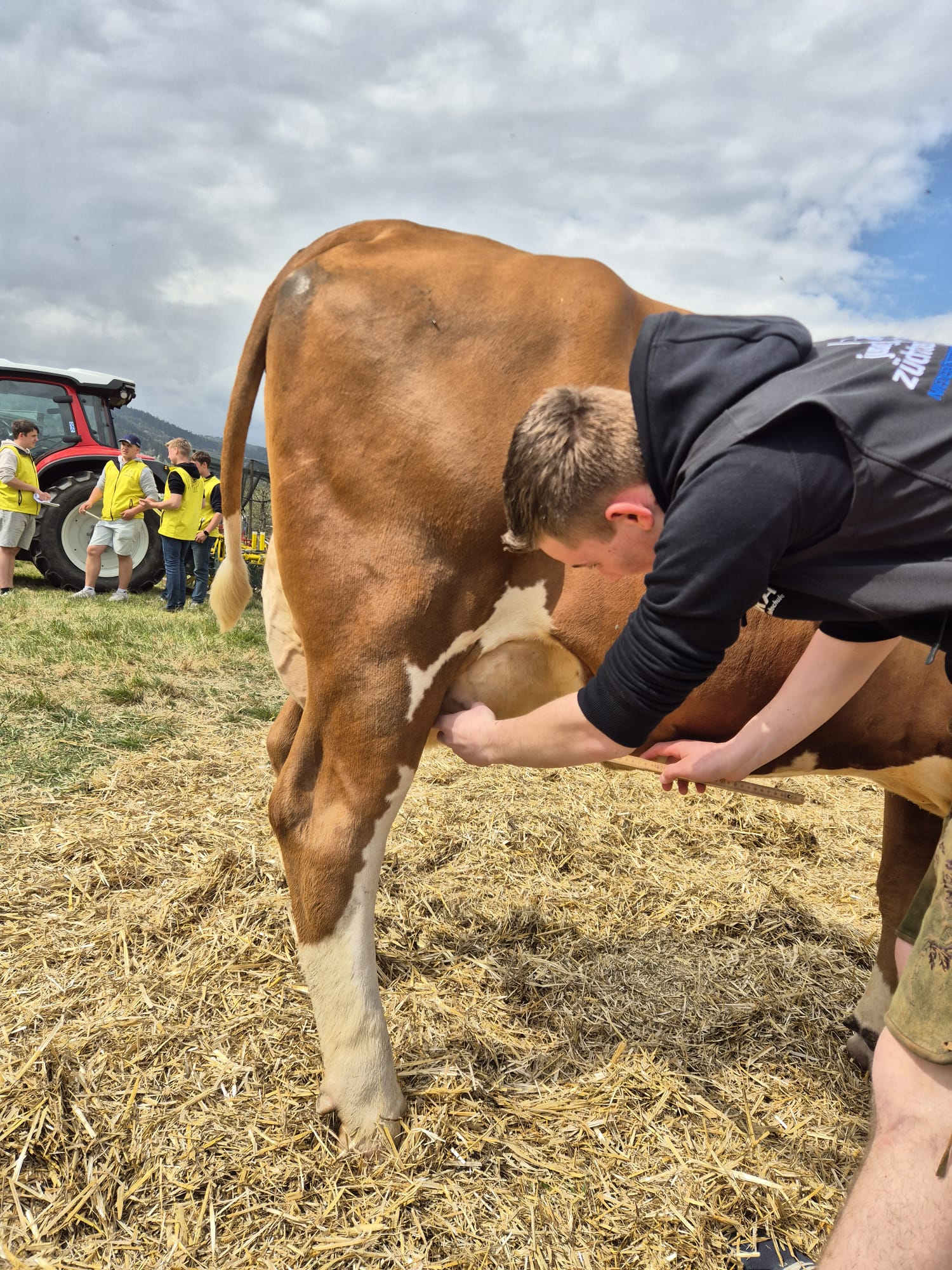 01d7a5c0-2cdf-40c8-9ad1-0d9c2ddef29e