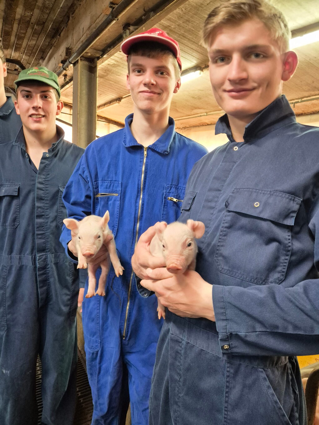 Praktischer Unterricht: Schweine- und Geflügelhaltung