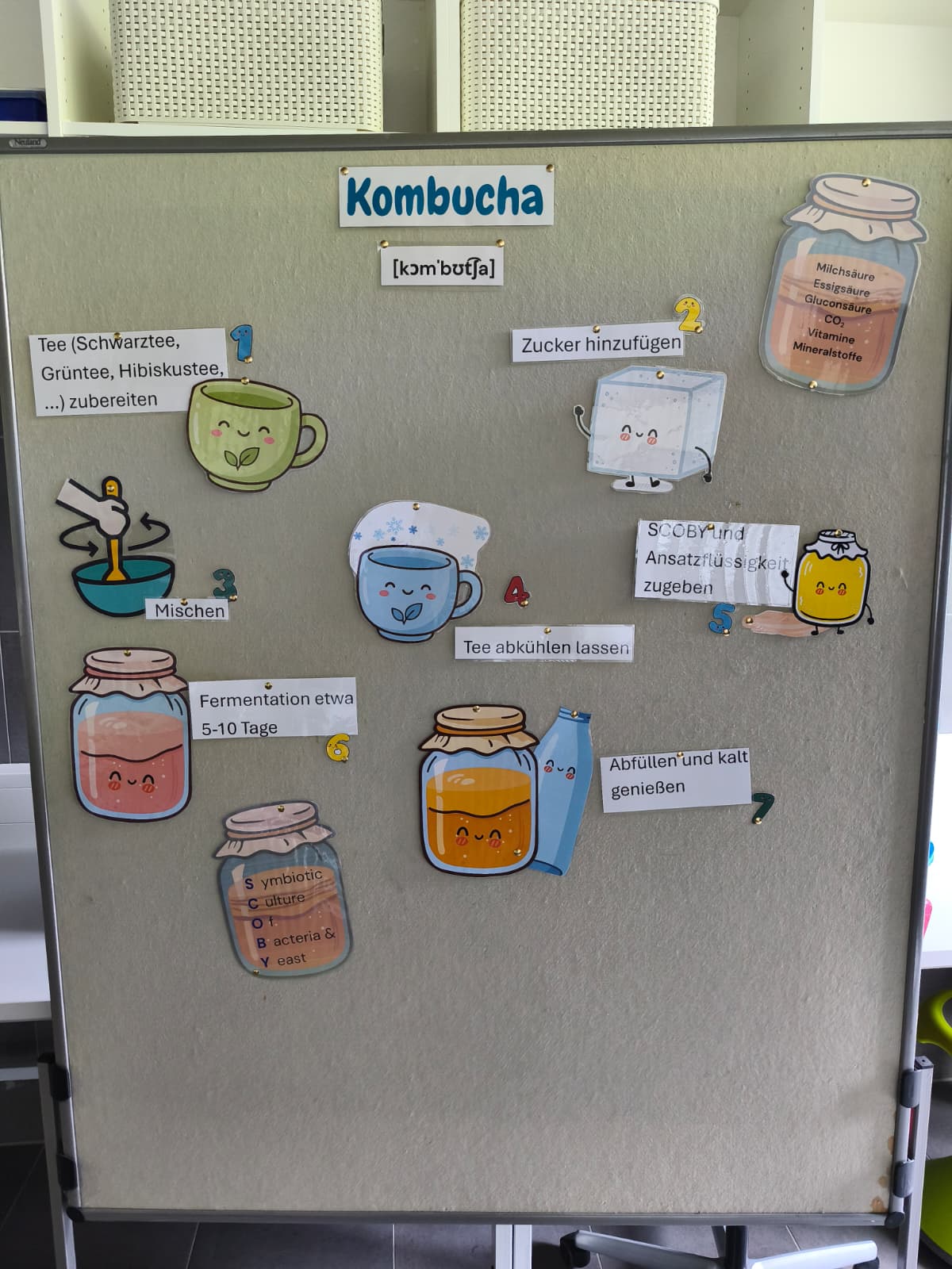 Kombucha (1)