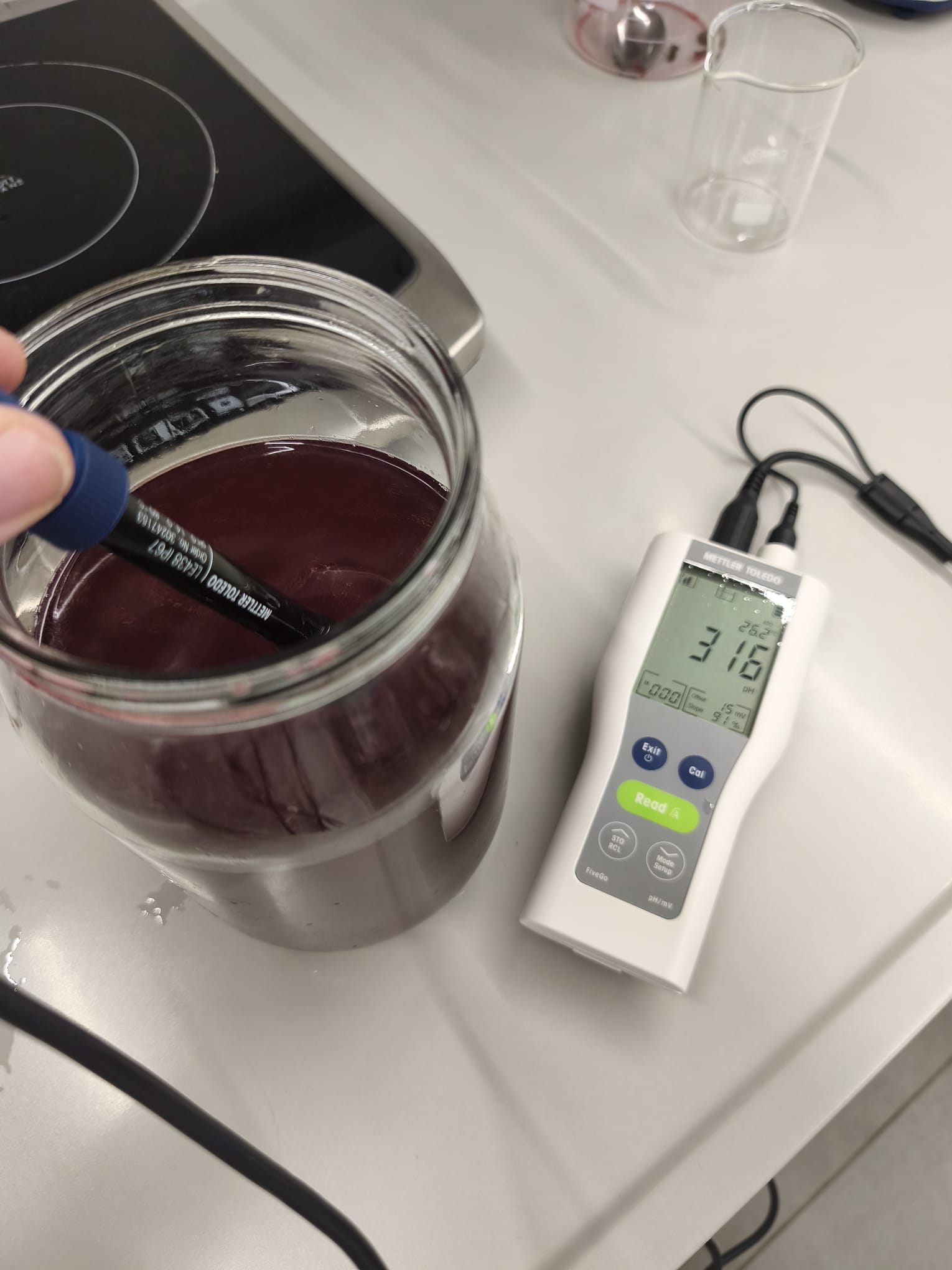 Kombucha (4)